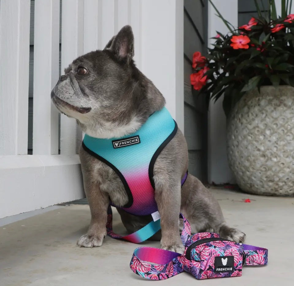 Frenchie Reversible Duo Harness in Tropical Palms