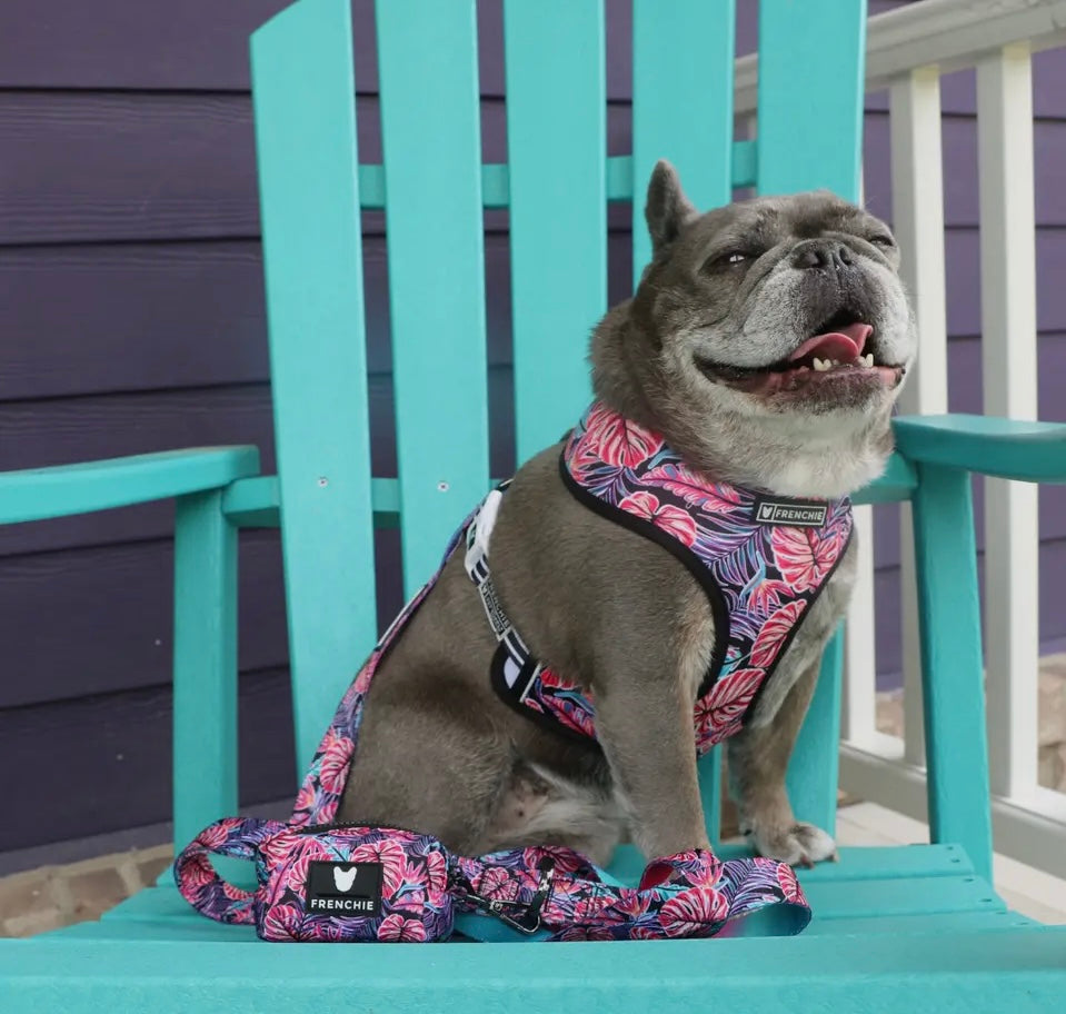 Frenchie Reversible Duo Harness in Tropical Palms